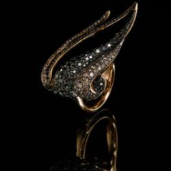 Hepsera Collection Black Diamonds Champagne Diamonds And Red Gold